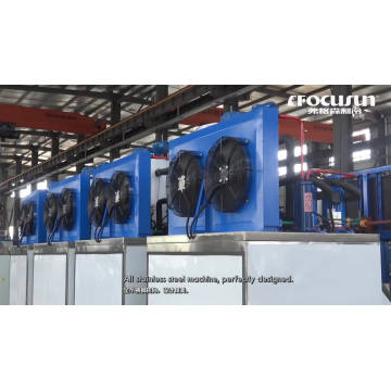 High efficiency small capacity High Efficiency 3 ton fresh water flake ice machine with hot sale